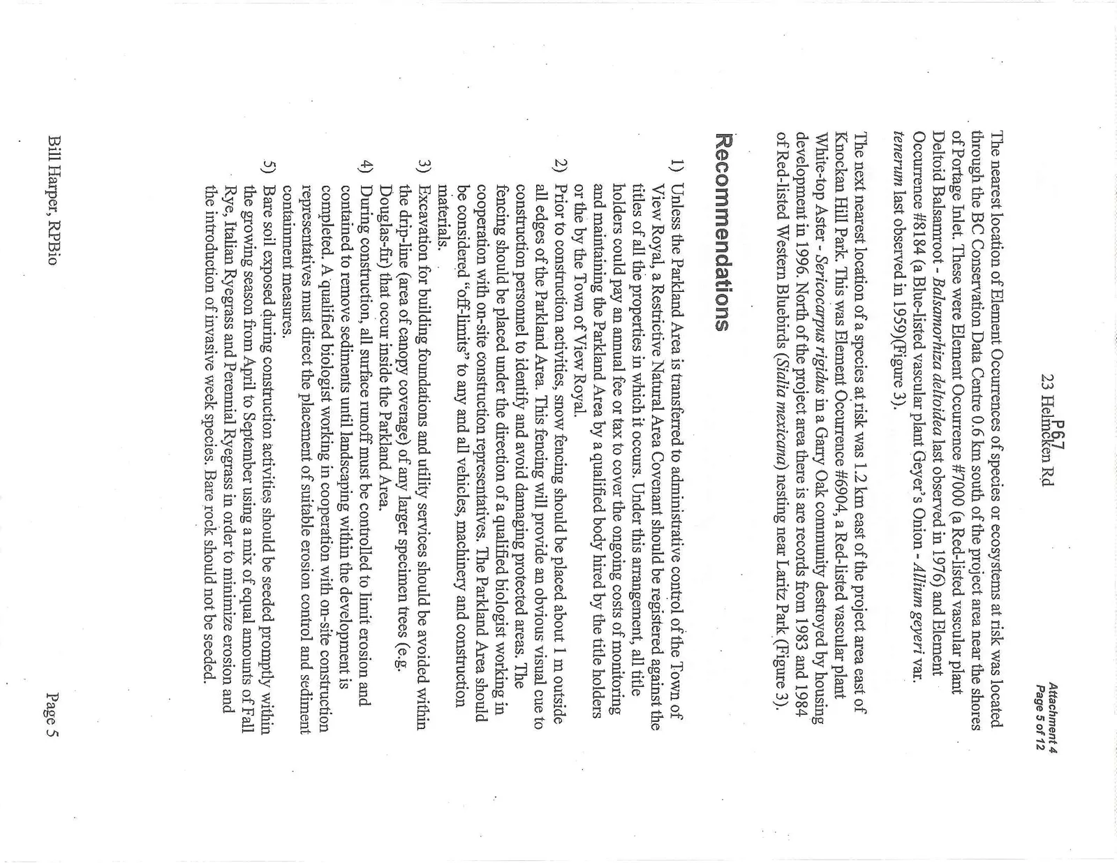 Document image