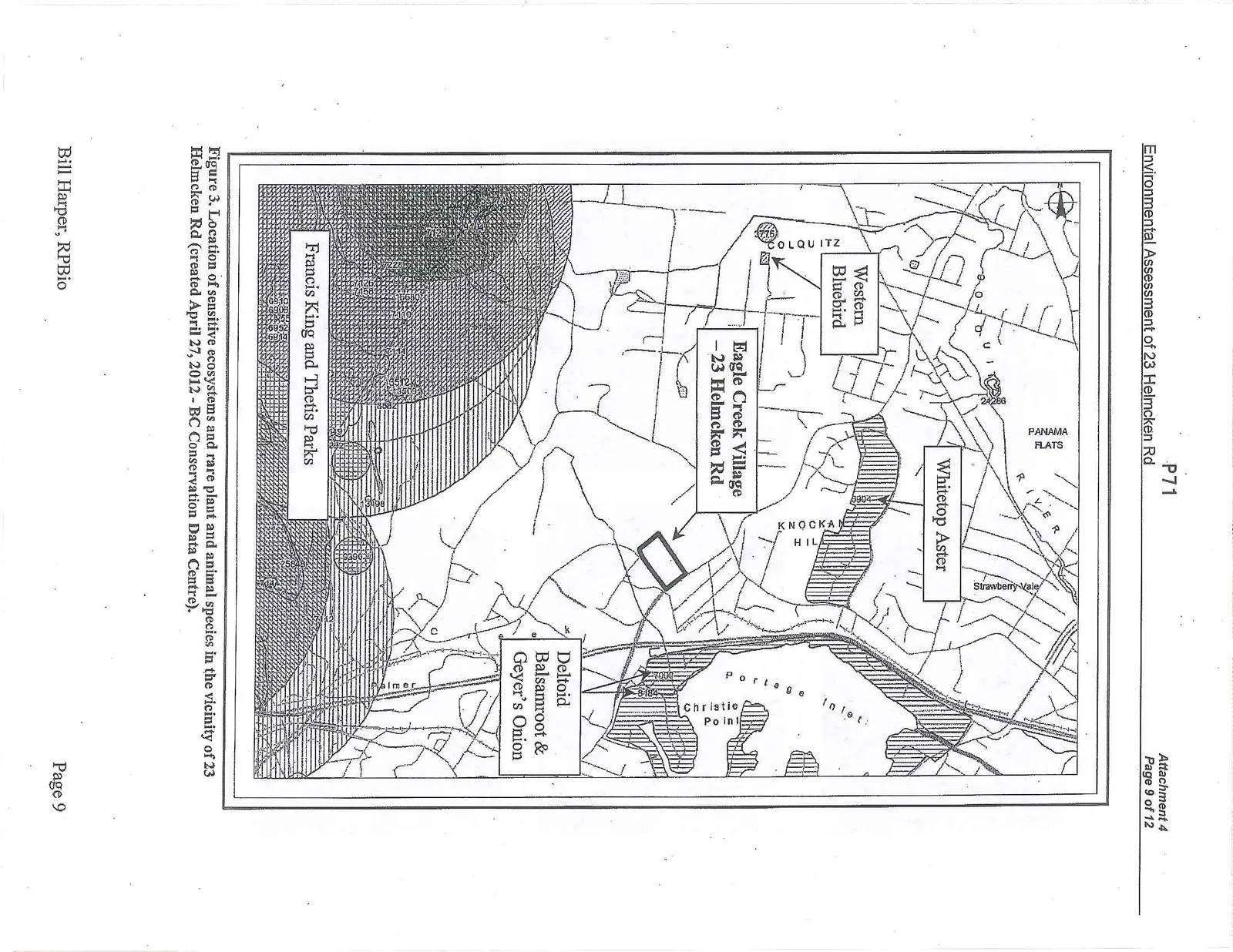 Figure 3. Location of sensitive ecosystems and rare plant and animal species in the vicinity of 23 Helmcken Rd (created April 27, 2012 - BC Conservation Data Centre).