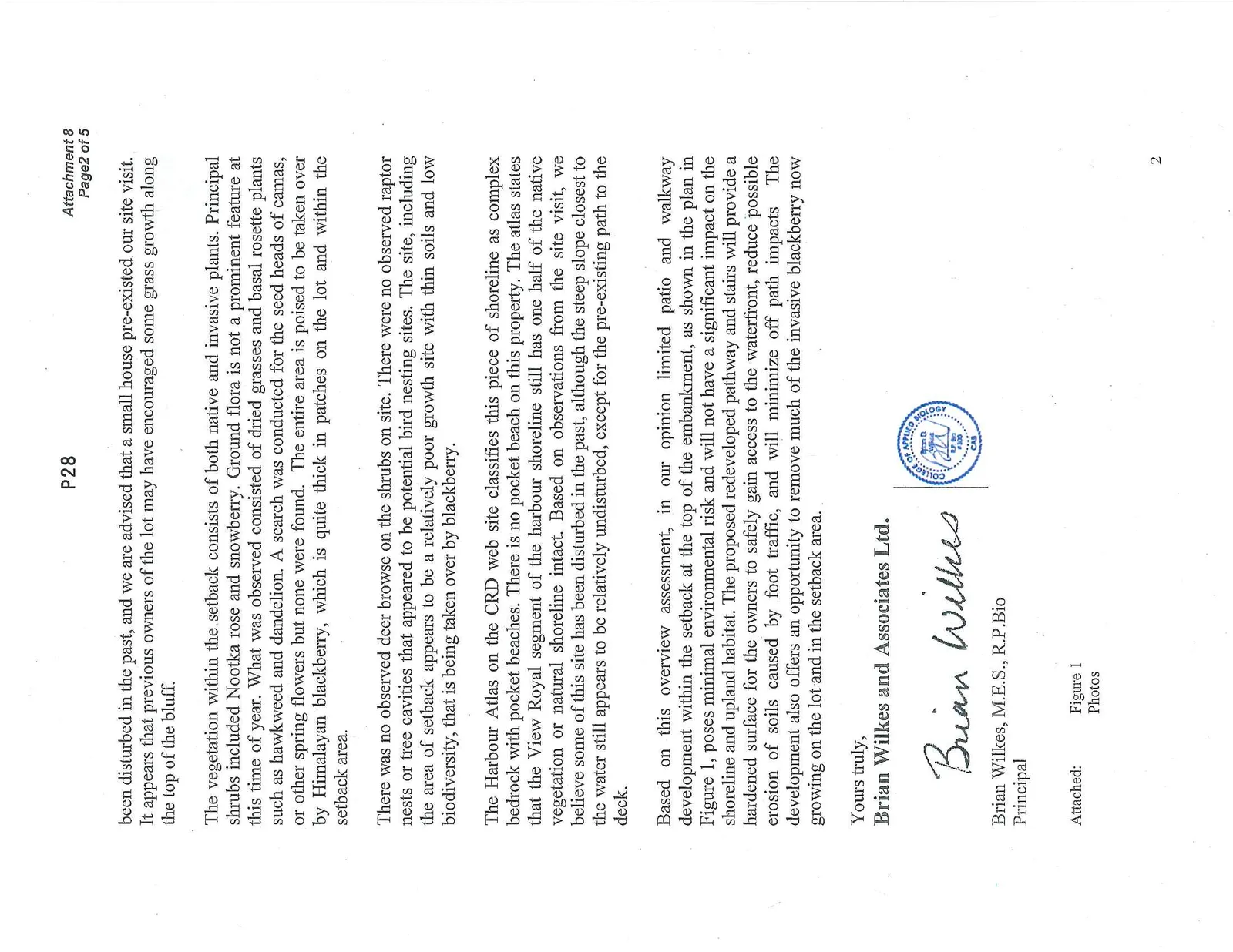 Document image