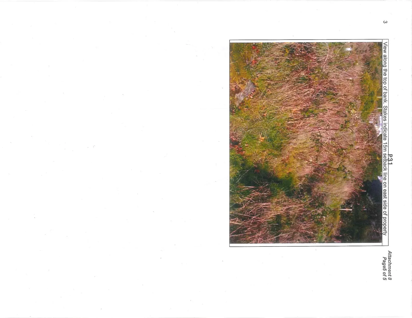 Photo 2 - Looking down embankment to pre-existing deck at shoreline.