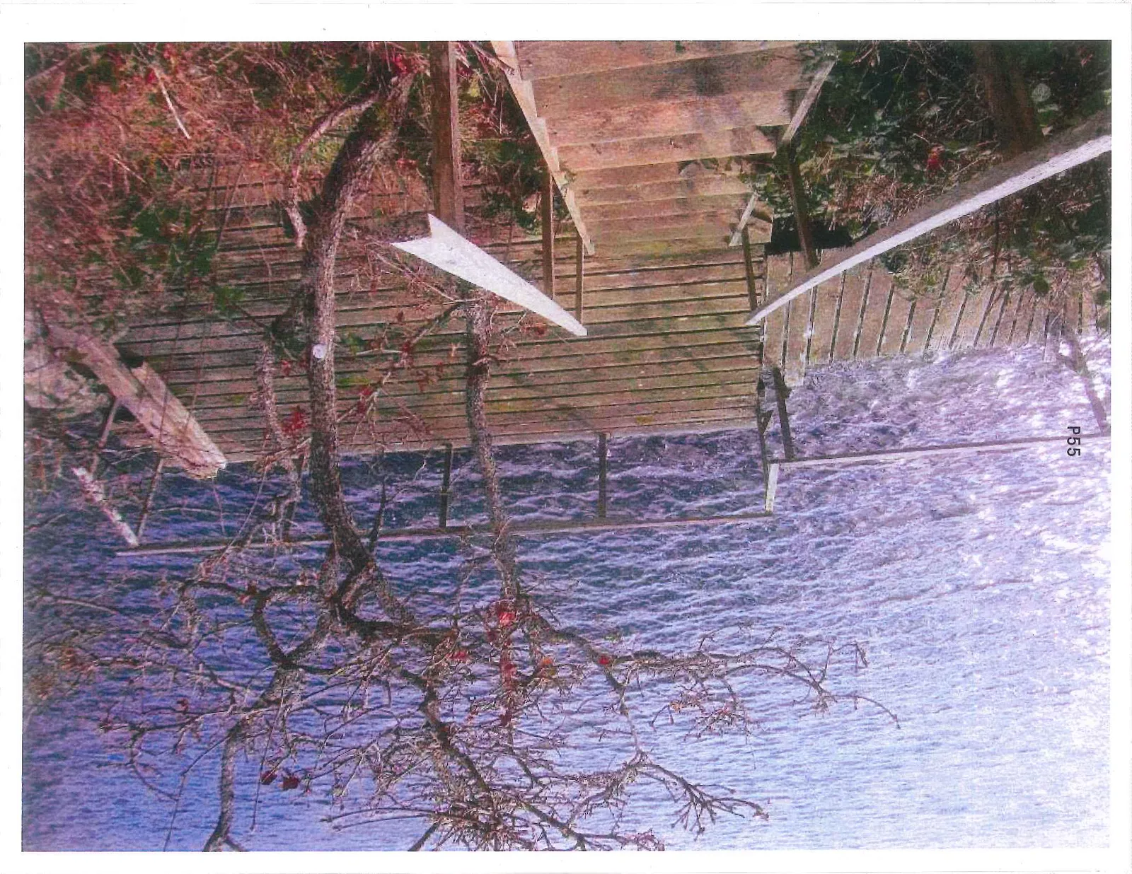 A high-angle view looking down onto a wooden deck and staircase near the water, with a bare tree in the foreground.