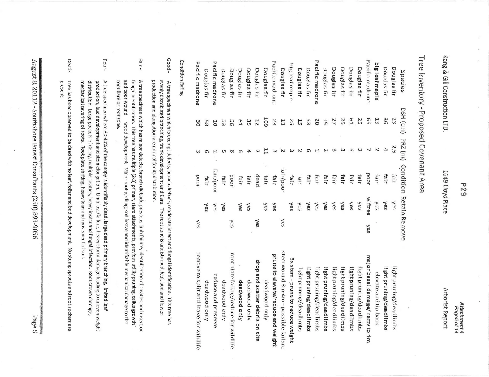 Document image