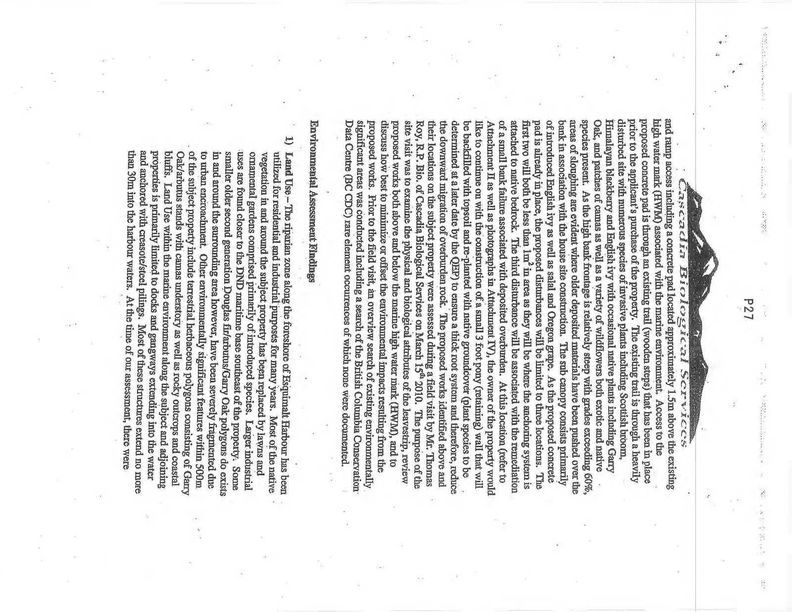 Document image