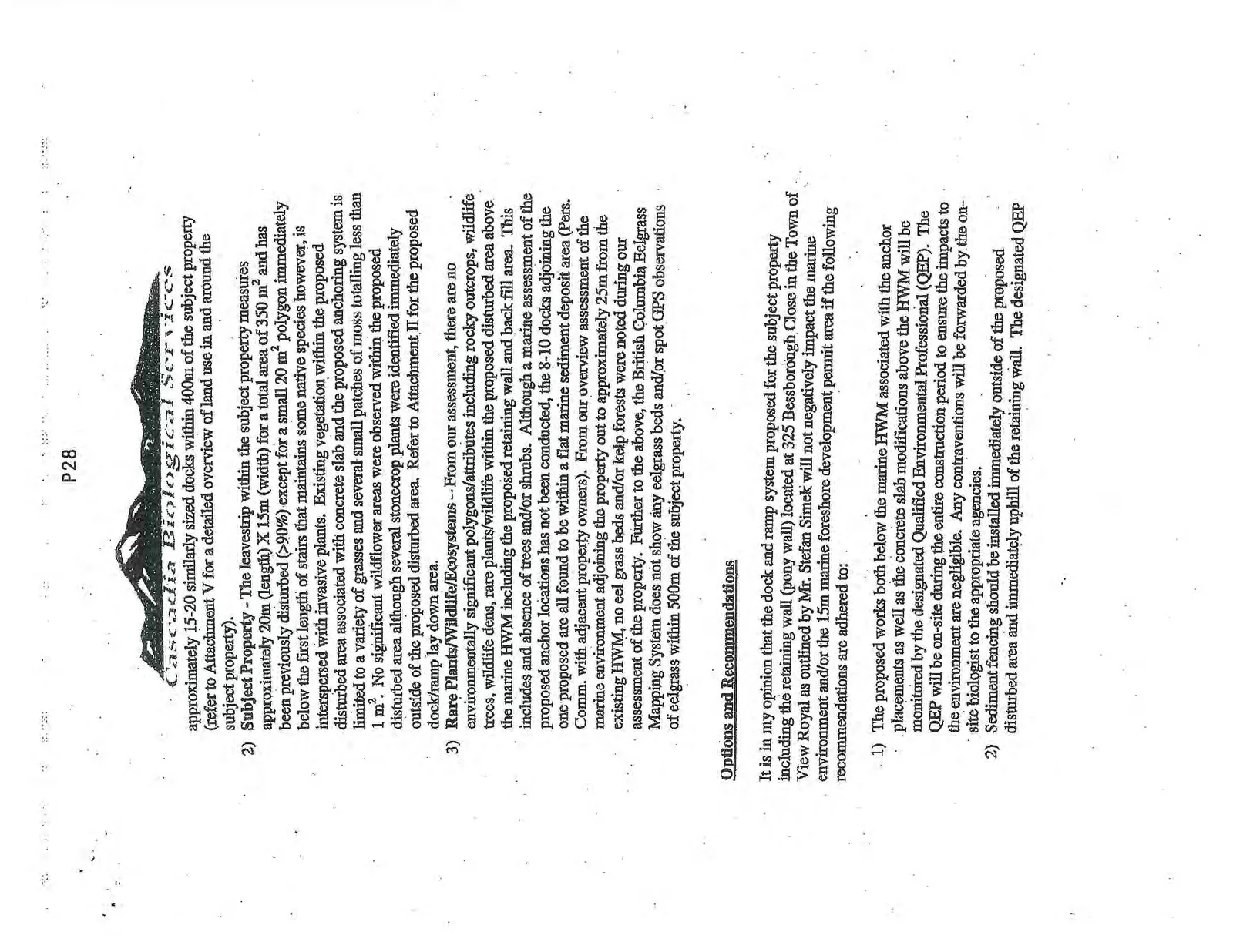 Document image