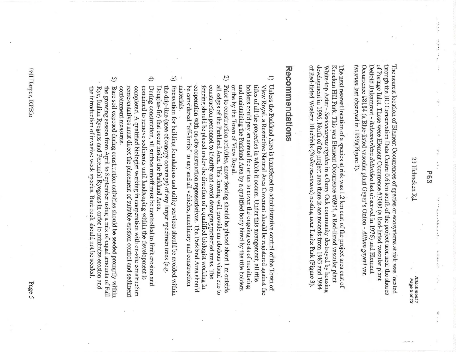 Document image