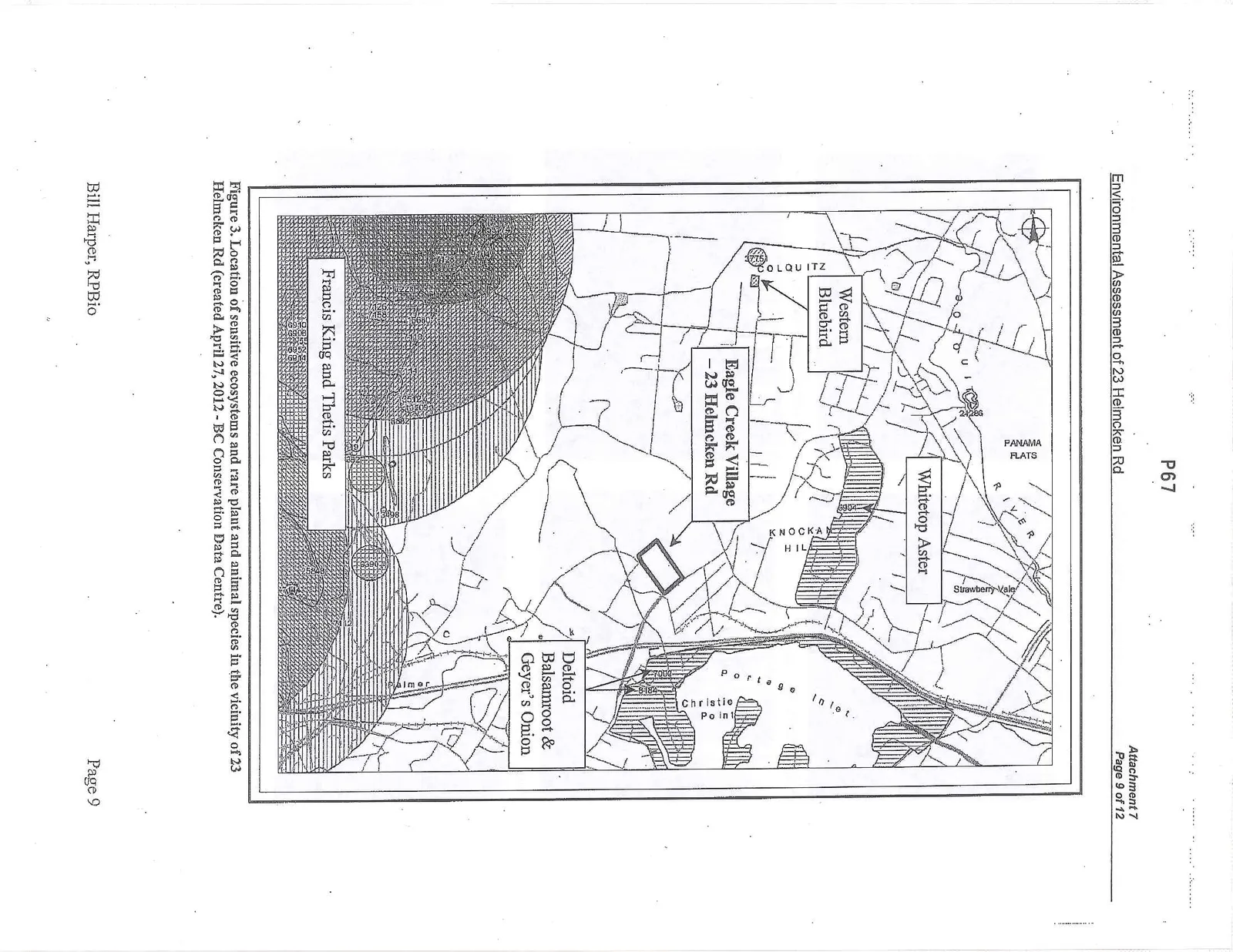 Figure 3. Location of sensitive ecosystems and rare plant and animal species in the vicinity of 23 Helmcken Rd (created April 27, 2012 - BC Conservation Data Centre).