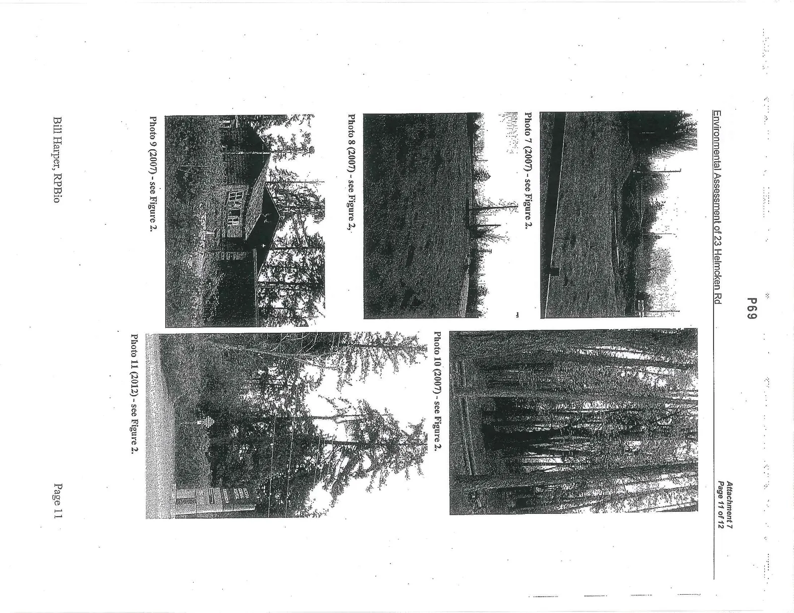 Photo 4 (2007) - see Figure 2. Large Garry Oak tree.