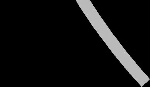Site plan detail - light green line segment