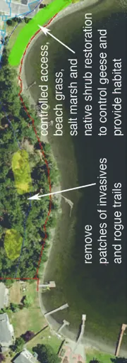 Recommendations map segment 5