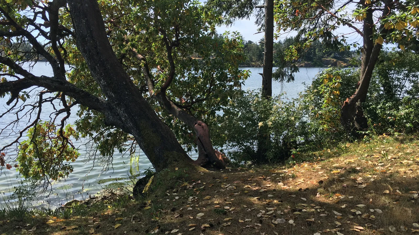 View of water