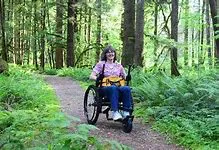Person in a wheelchair using a gravel trail through a green forest