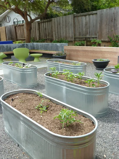 Multiple metal horse trough planters arranged in a gravel area for gardening