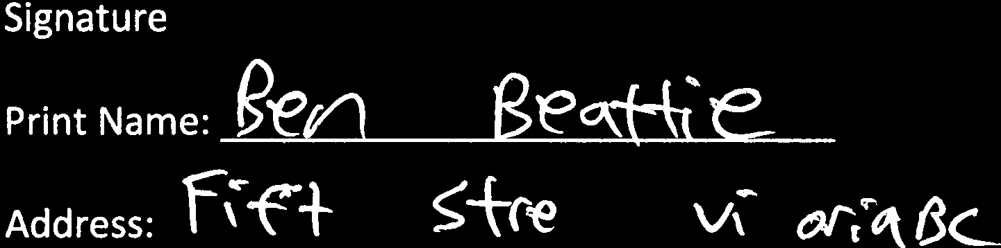 Document image