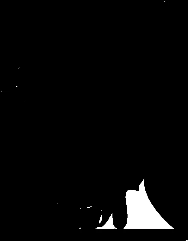 Document image