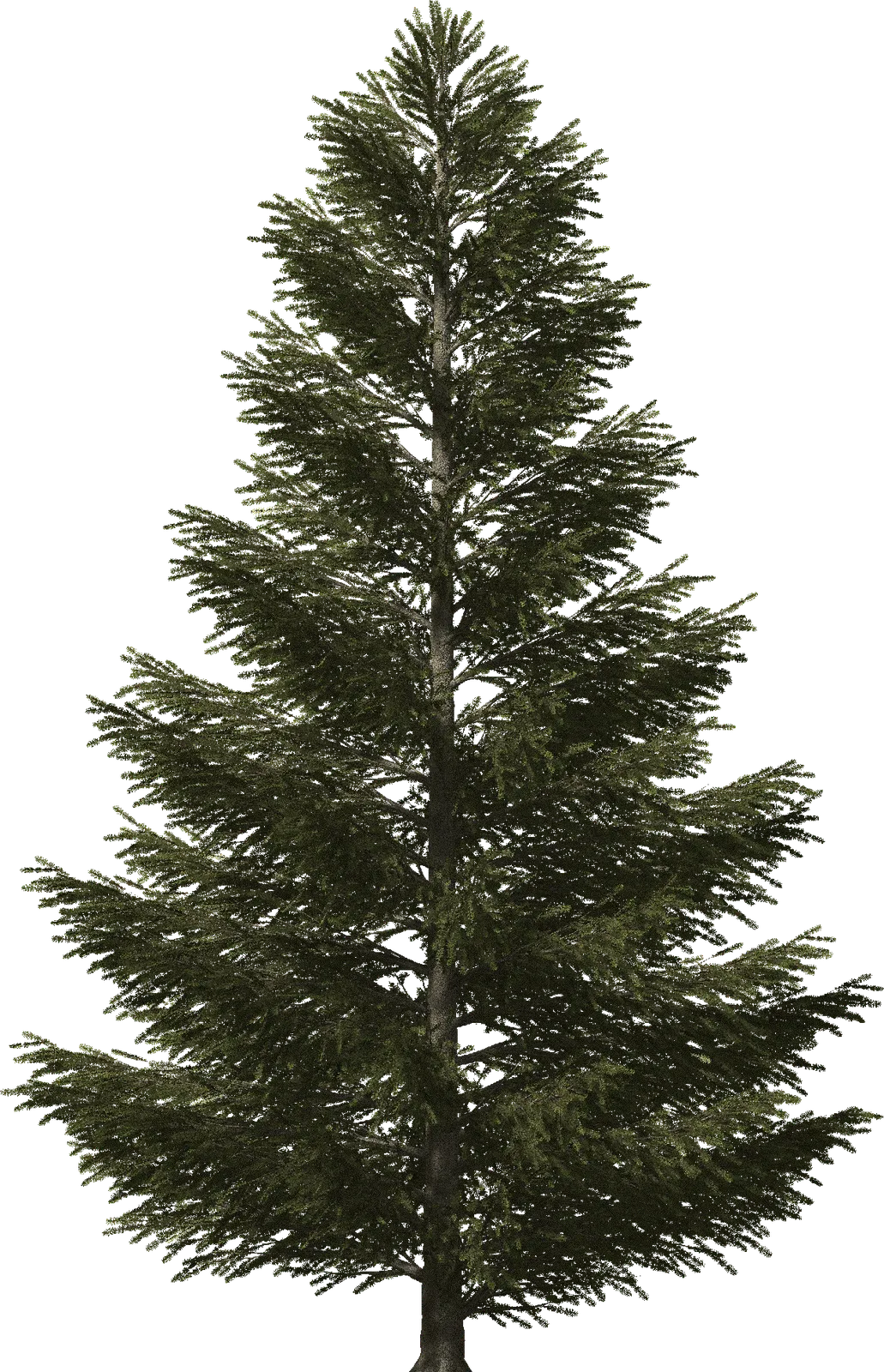 green shrubbery