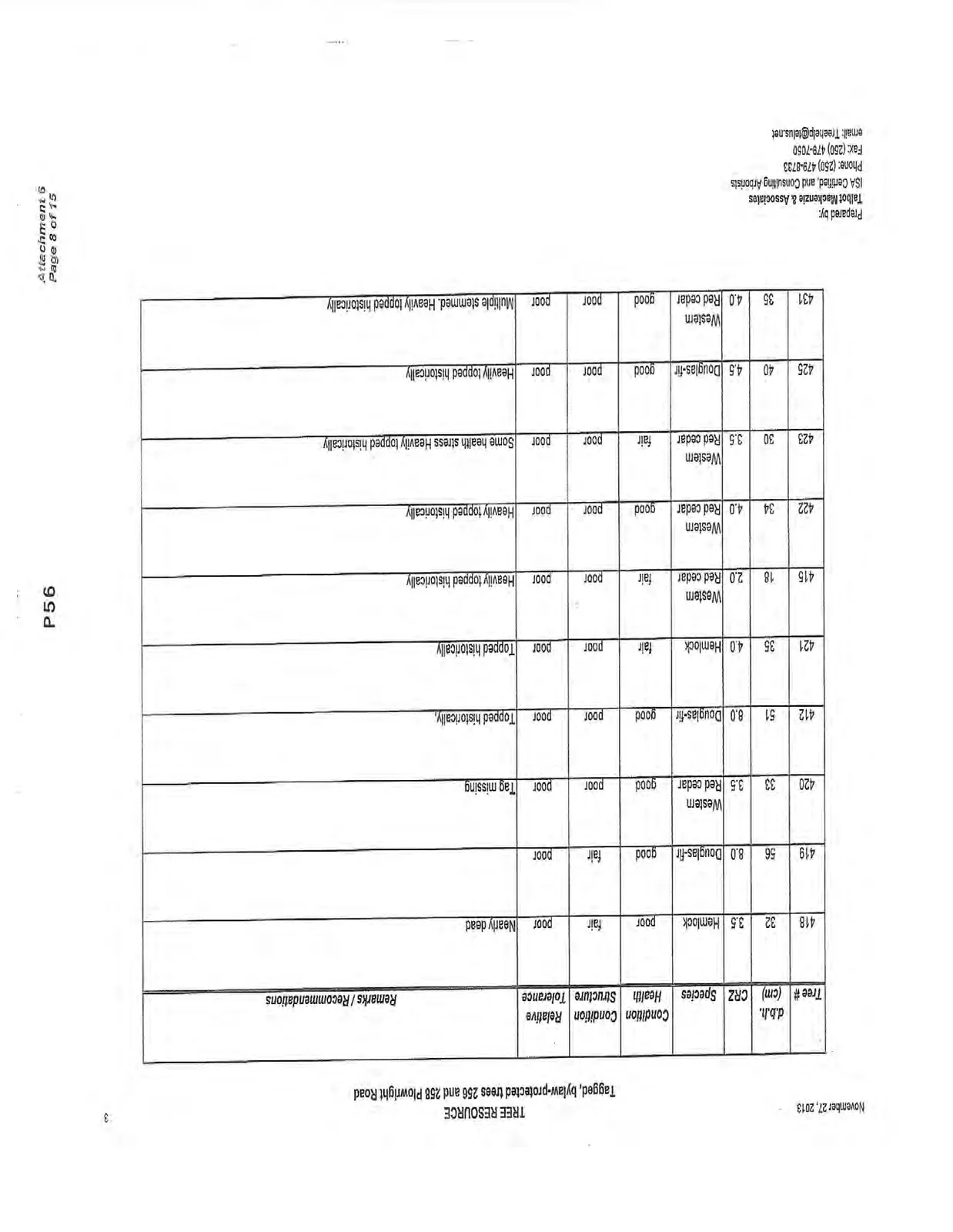 Document image