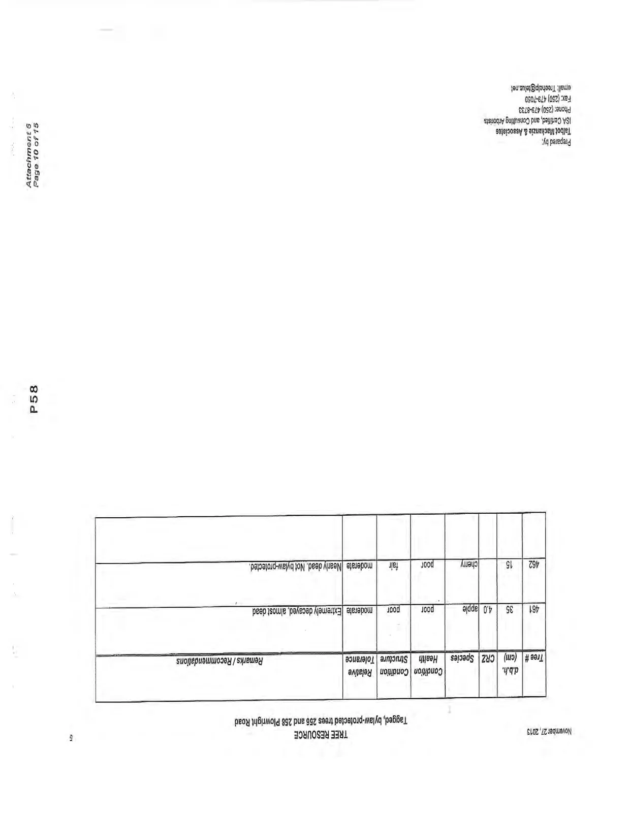 Document image