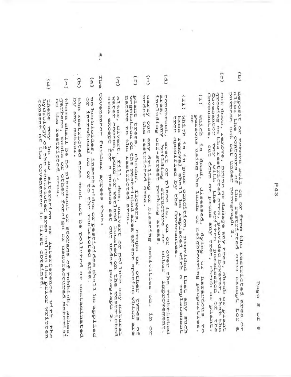 Document image