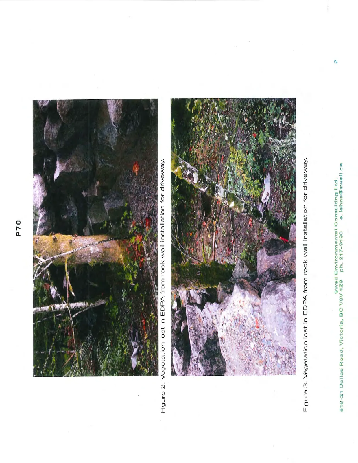 Photo of vegetation lost in EDPA from rock wall installation for driveway (Figure 2)