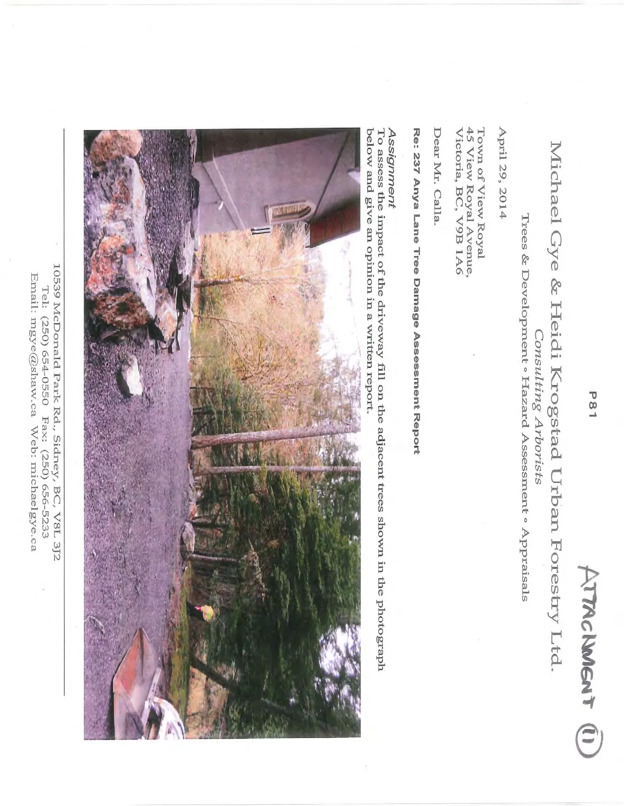 Photograph of a gravel driveway installation adjacent to a stand of trees and a building foundation, with an excavator bucket visible in the lower right.