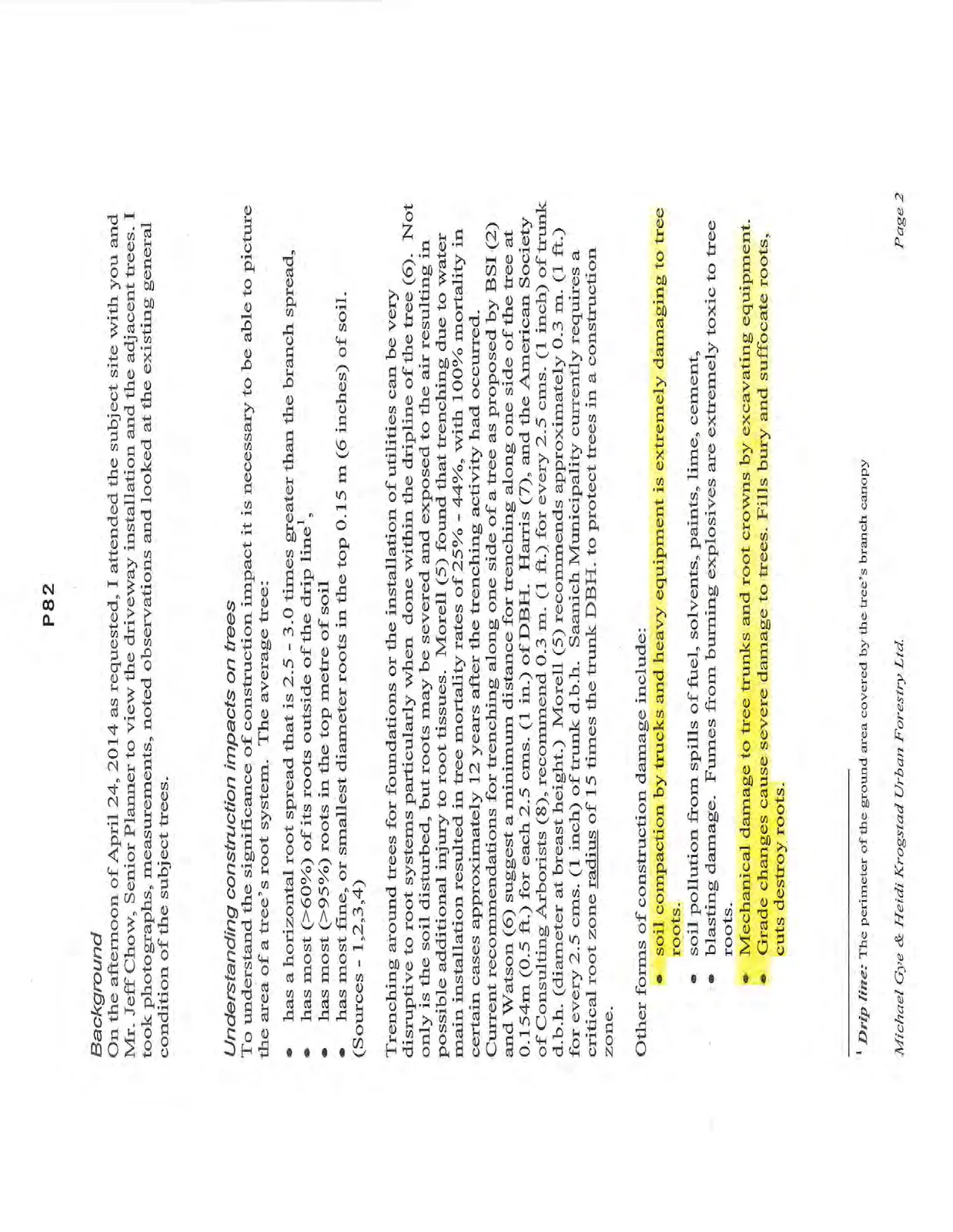 Document image