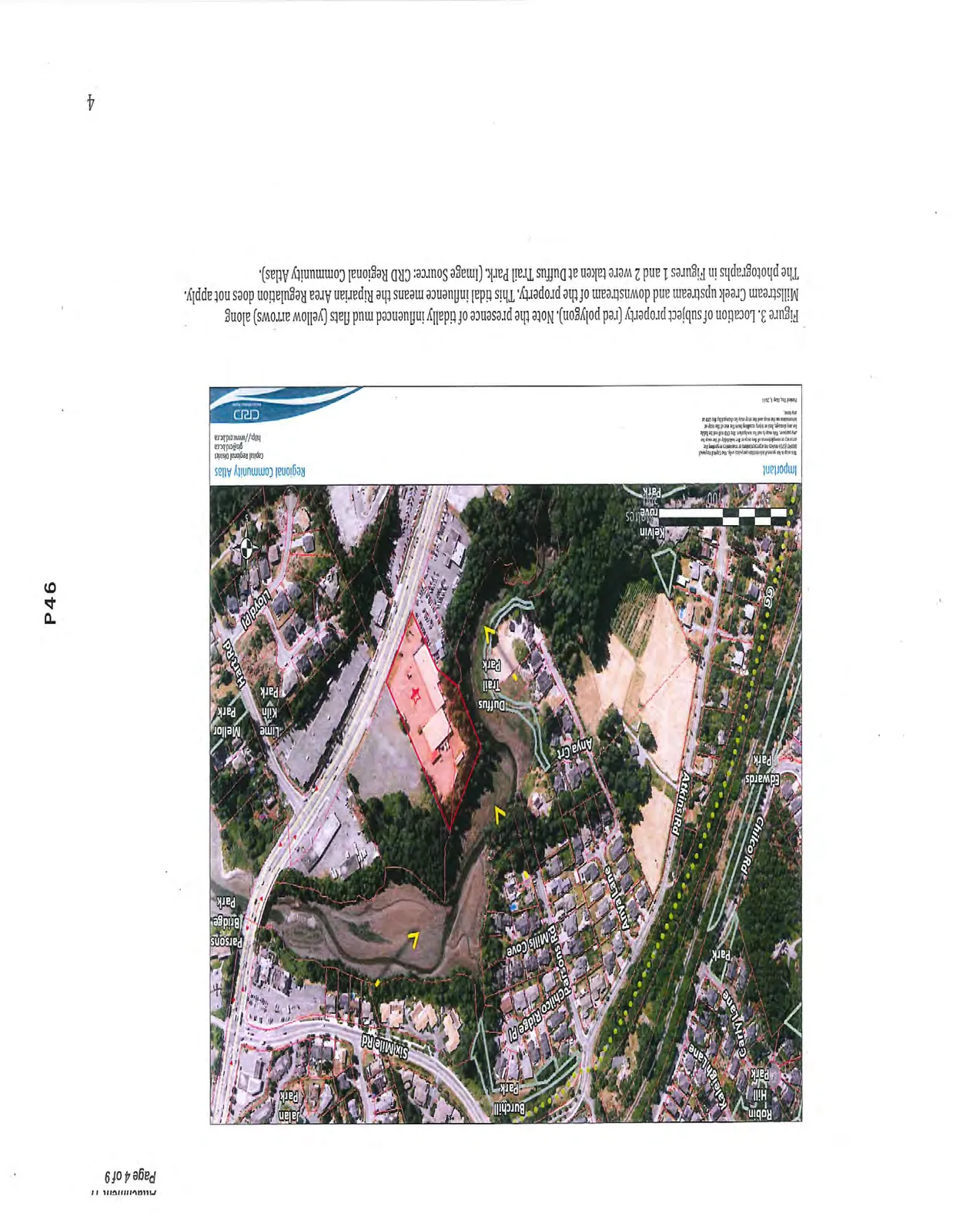 Map showing location of subject property (red polygon) and tidally influenced mud flats (yellow arrows) along Millstream Creek upstream and downstream of the property. (Image Source: CRD Regional Community Atlas).