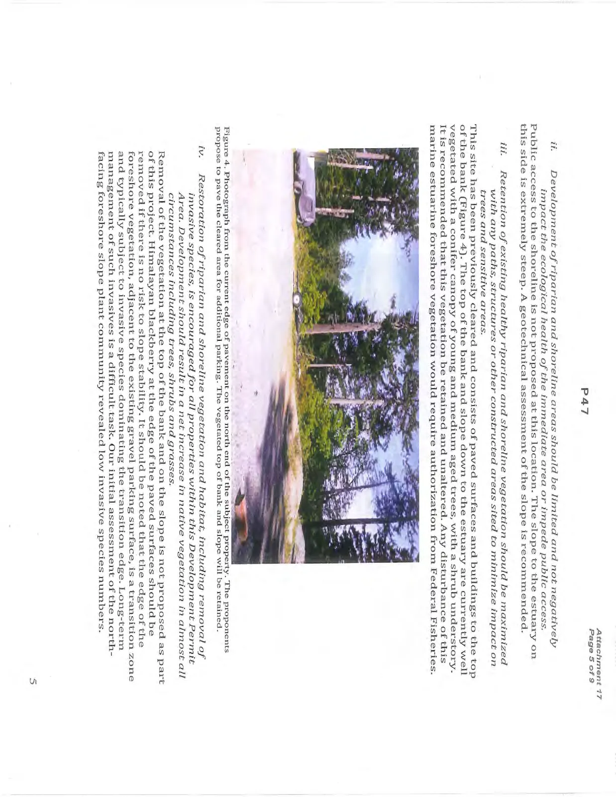 Photograph from the current edge of pavement on the north end of the subject property showing trees. The proponents propose to pave the cleared area for additional parking. The vegetated top of bank and slope will be retained.