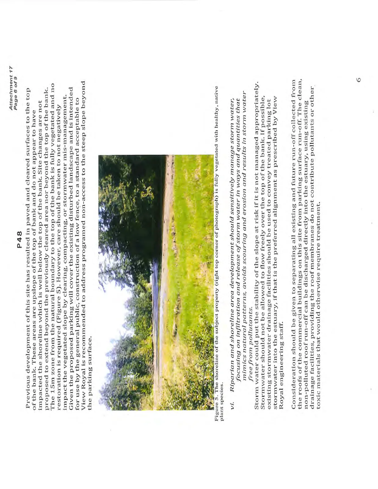 The shoreline of the subject property (right top corner of photograph) is fully vegetated with healthy, native plant species.