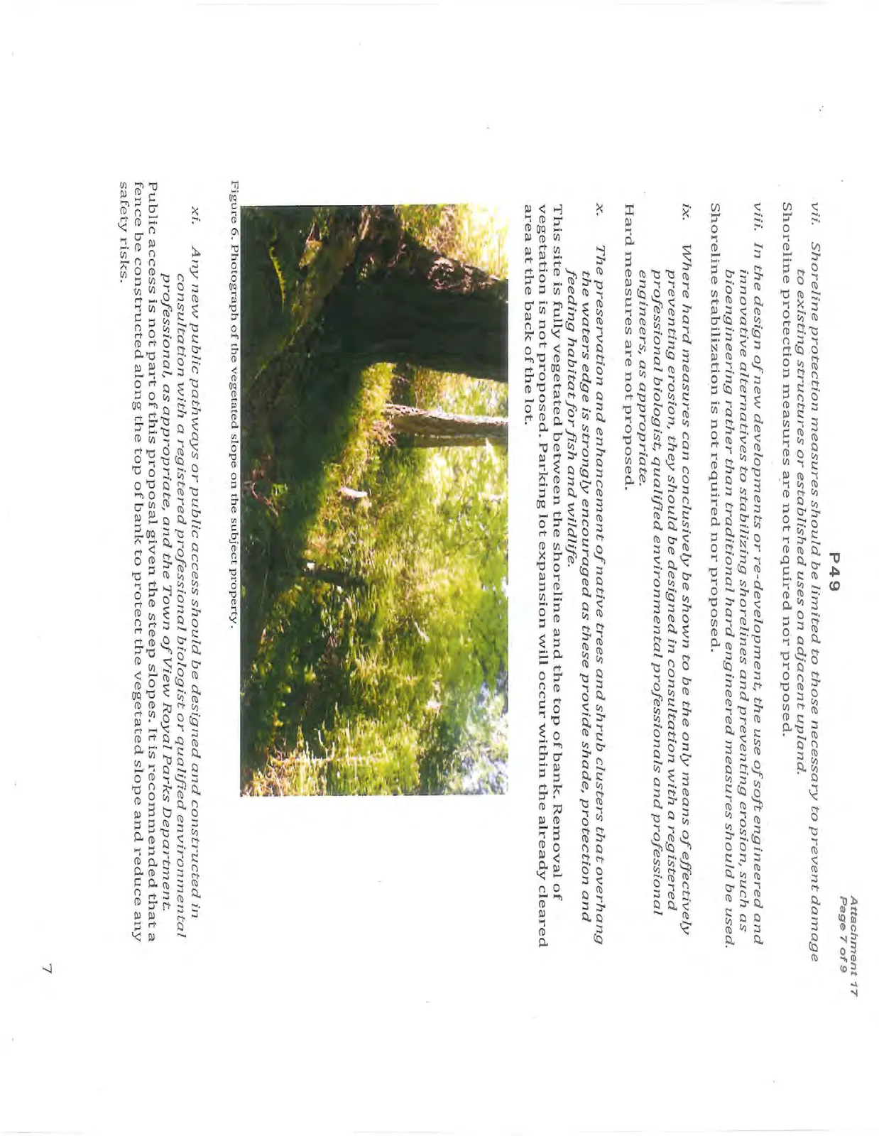 Photograph of the vegetated slope on the subject property.