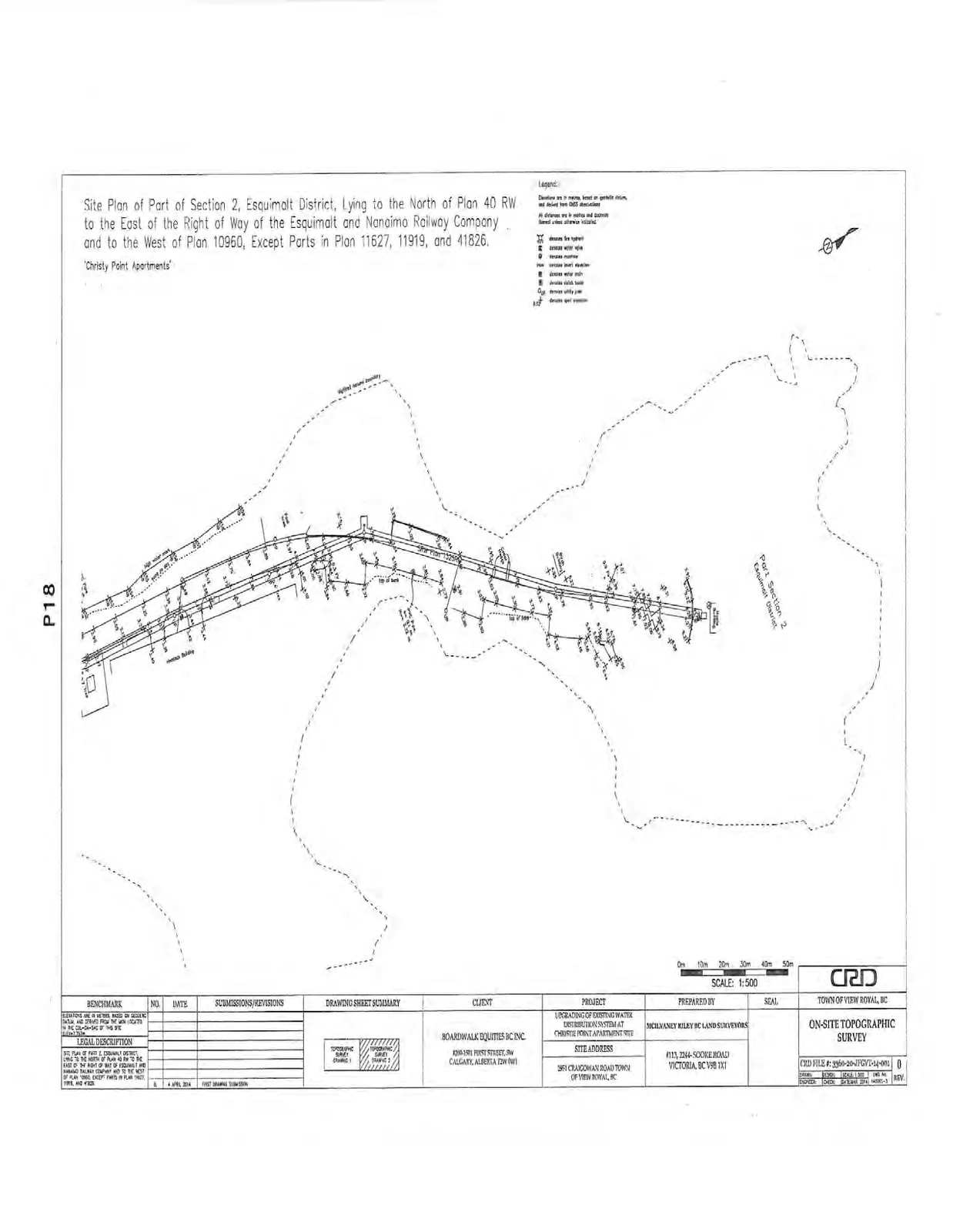 Additional section of the on-site topographic survey map