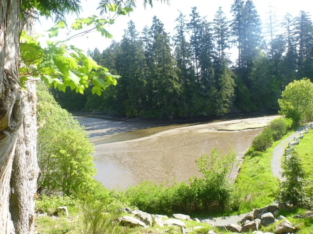 Photograph taken from across Millstream Creek at Duffus Trail Park looking toward the subject property. The tidally influenced mud flats are apparent at low tide. Note also the fully vegetated shoreline and slope on the subject property.