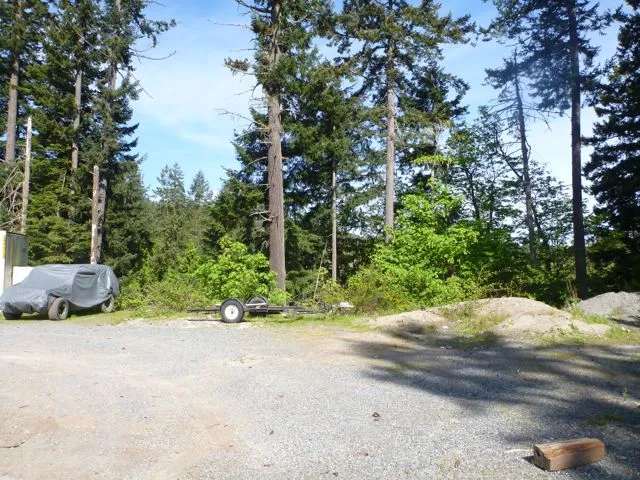 Photograph from the current edge of pavement on the north end of the subject property. The proponents propose to pave the cleared area for additional parking. The vegetated top of bank and slope will be retained.