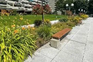 Photograph of garden bed with lavender in bloom and green shrubbery