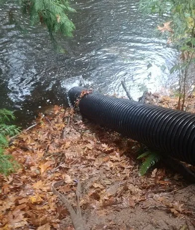 The end of the corrugated chute discharging salmon into the creek.