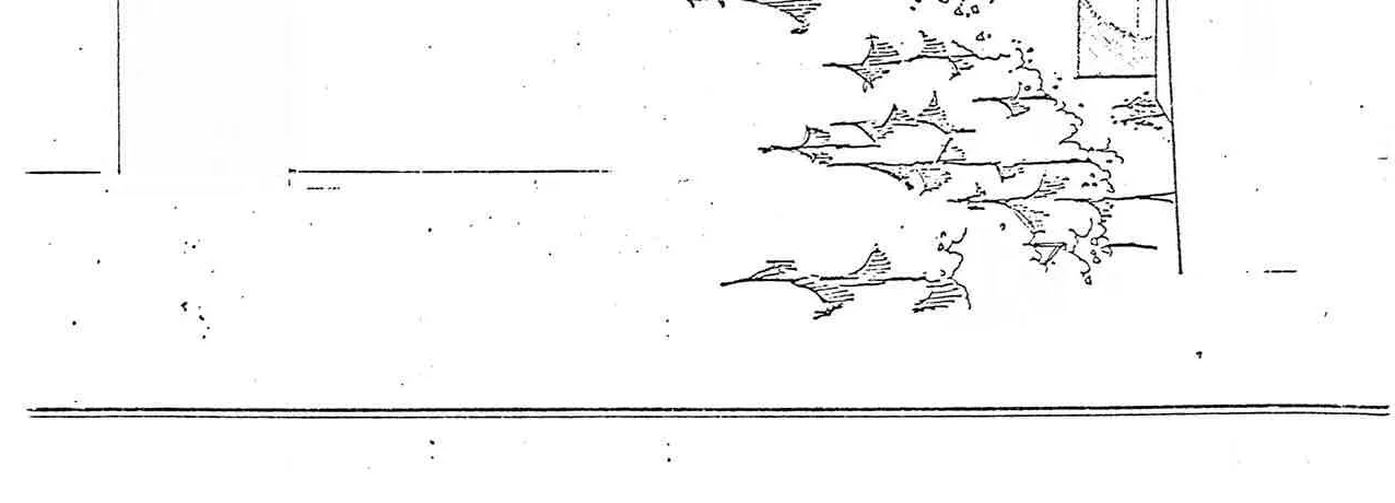 Cross-section drawing showing the elevation profile of the site, including the building and surrounding trees