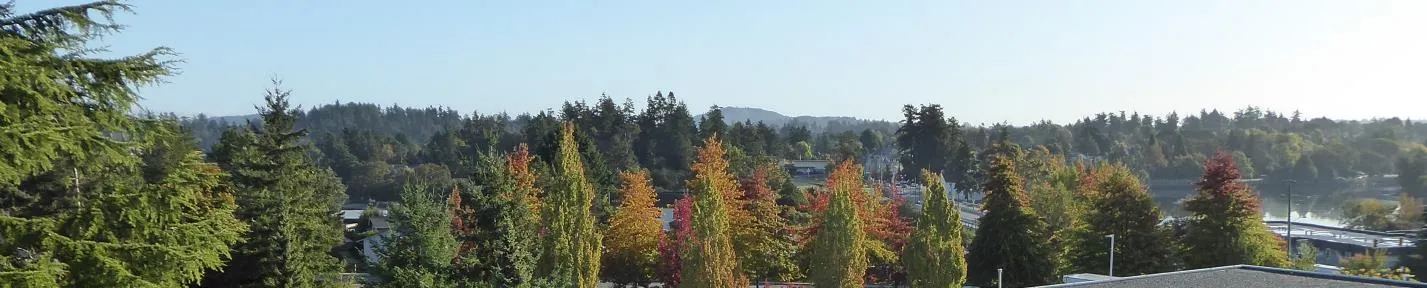 Photograph labeled EXAMPLE 2b showing a row of mature trees in 2022 obstructing the background view