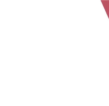 Maroon graphical element representing a property or lot boundary