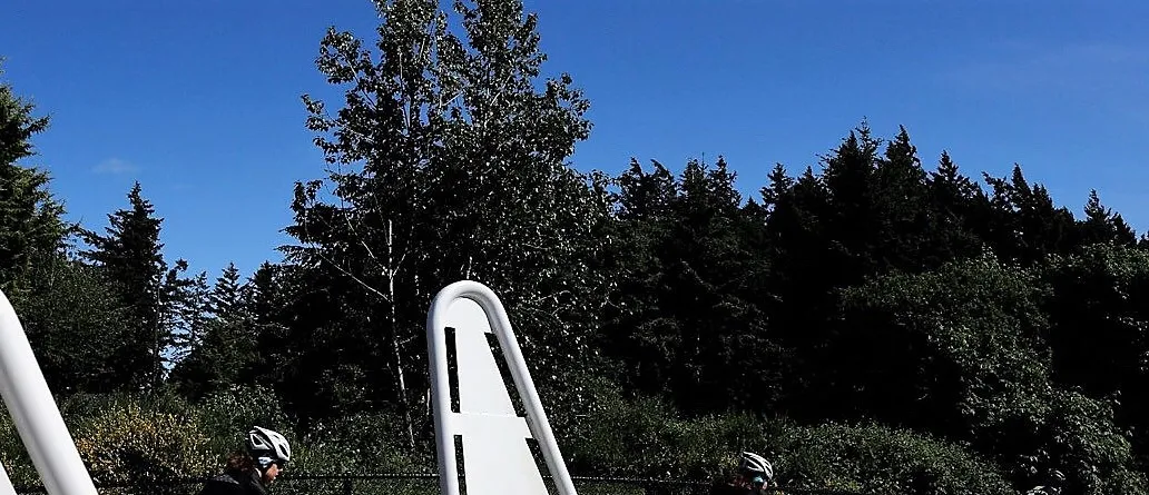 Tree line and blue sky in the background