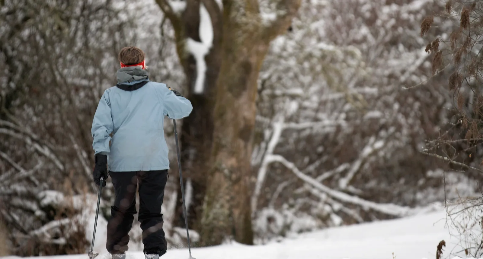 A person cross-country skiing through a snowy Portage Park