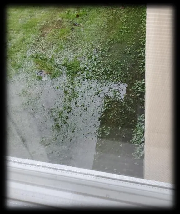 Photograph showing standing water in a grassy backyard area next to a foundation