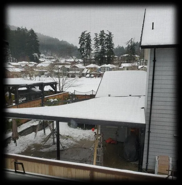 Photograph from above showing a collapsed patio structure covered in snow