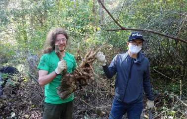 A man and a young child in green boots kneeling in a forest to plant a small evergreen tree