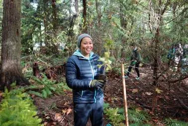 Adults and children working together among tall trees to clear undergrowth