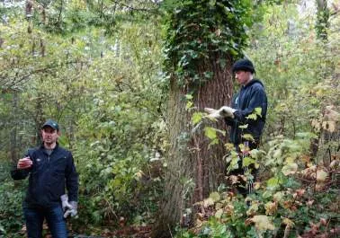Two adults and a child kneeling together to plant a small native tree in a forest clearing