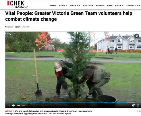 Two people working together to carefully place a large root ball into a prepared planting hole
