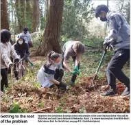 Peace Arch News article titled "Invasive plants cleared from White Rock Beach" with a photo of volunteers working on the shore