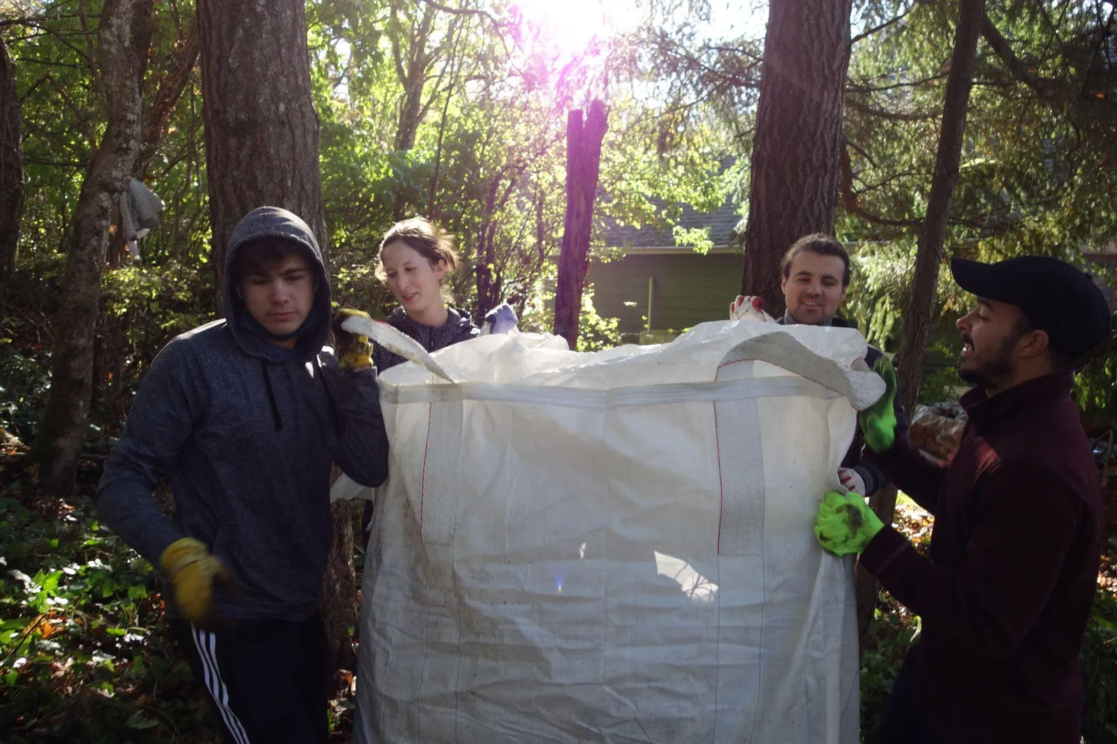A group of four volunteers working together to lift a large white debris bag filled with invasive plants