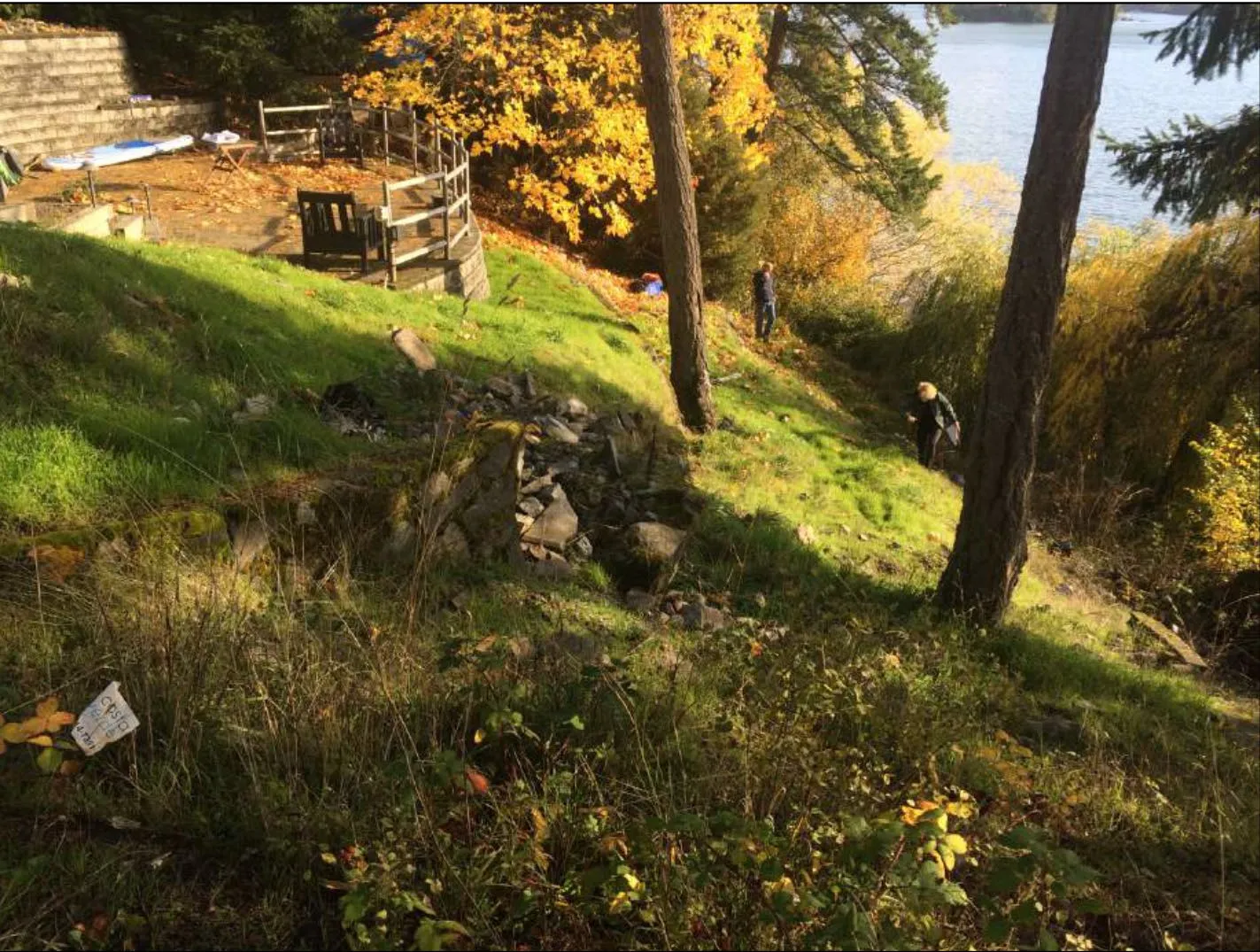 Photograph of the property's backyard slope showing existing trees, a deck area, and the shoreline in the distance