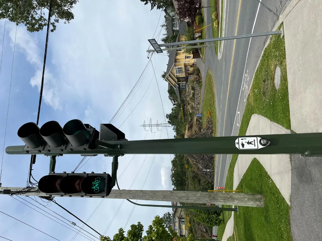 Photo of a traffic signal pole featuring a bicycle-specific green signal light
