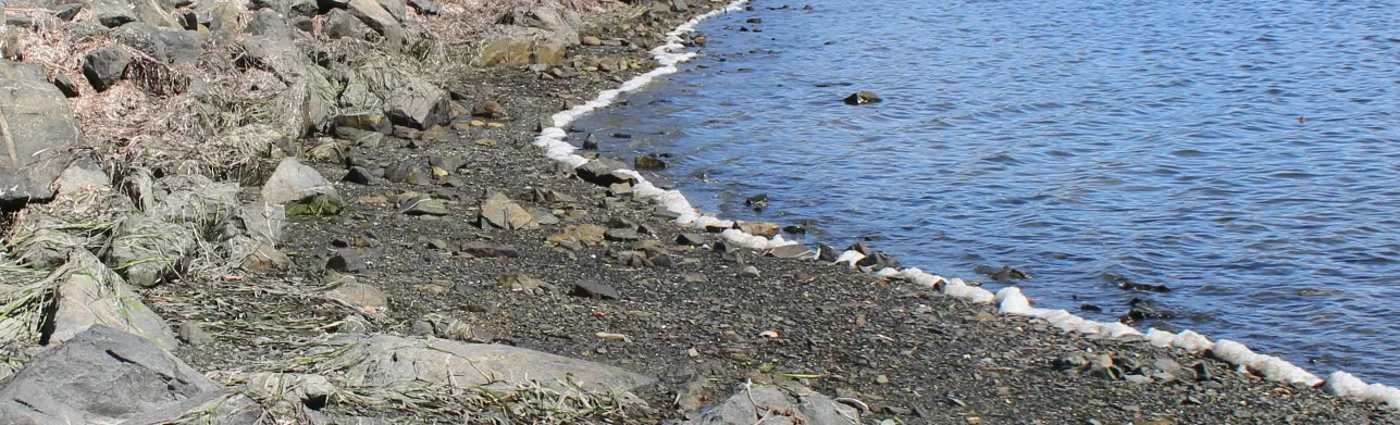 Rocky shoreline and ocean water at COHO Development